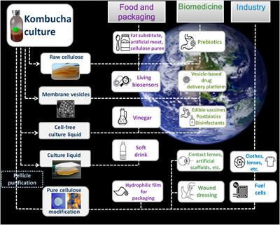 To Other <mark class="highlighted">Planets</mark> With Upgraded Millennial Kombucha in Rhythms of Sustainability and Health Support